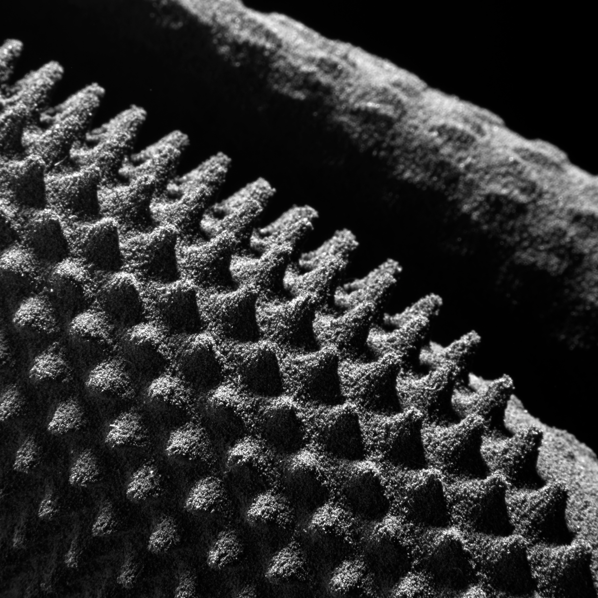 The Bennu Bag